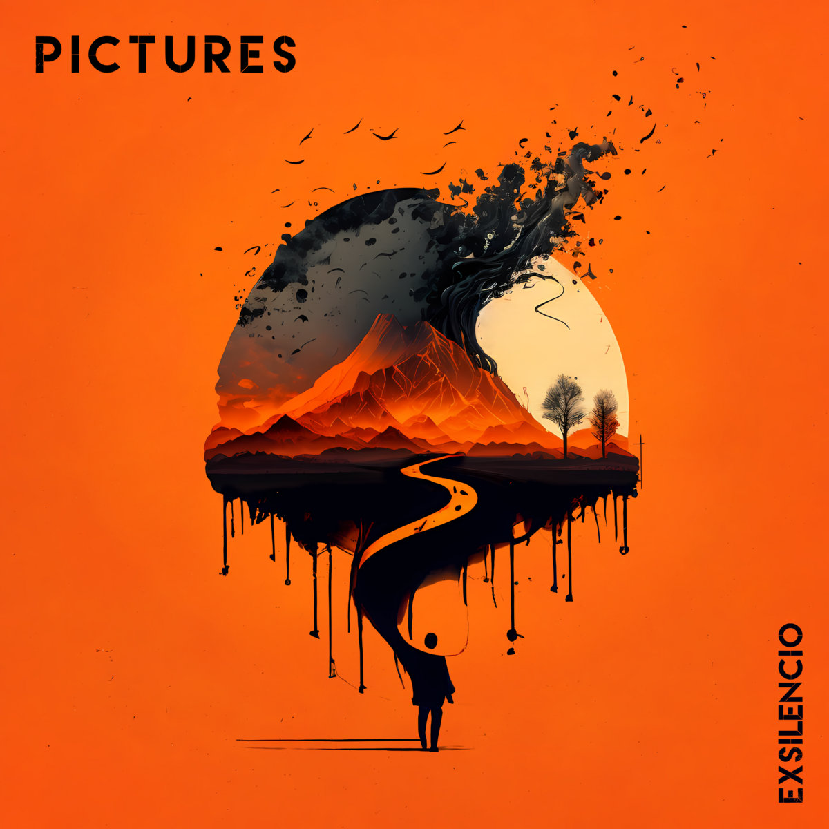 Pictures CD